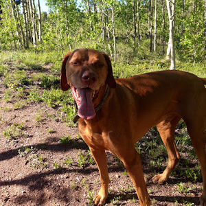 Meet your Posher, Jeff